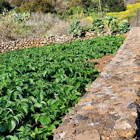 Prázdninový dům Casa Pilmar San Andres Las Rosas (El Hierro)